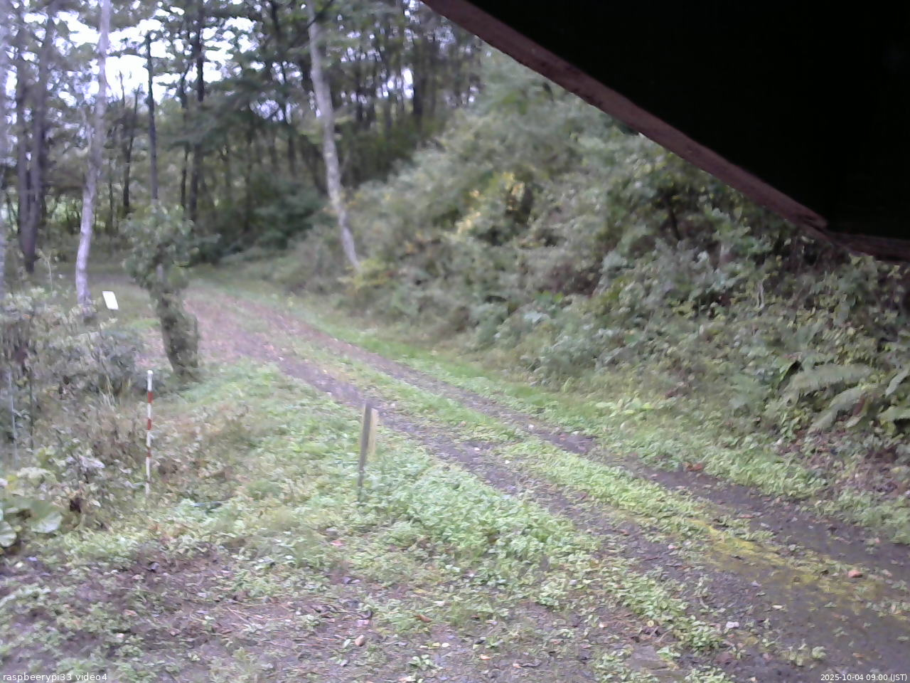 長野県菅平高原 ゆたか山荘 東側(坂下) 2025/10/04 09:00
