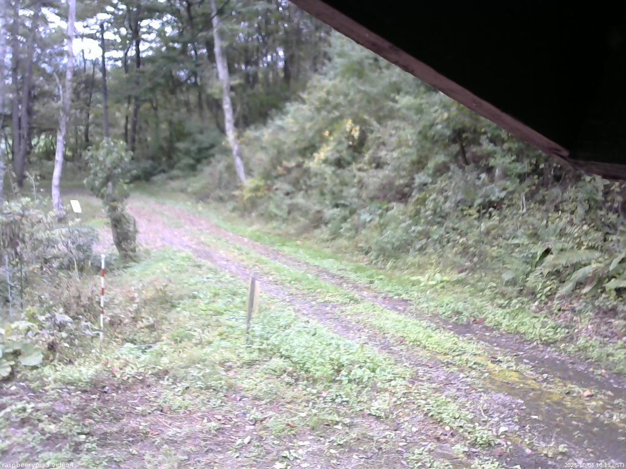 長野県菅平高原 ゆたか山荘 東側(坂下) 2025/10/04 10:15