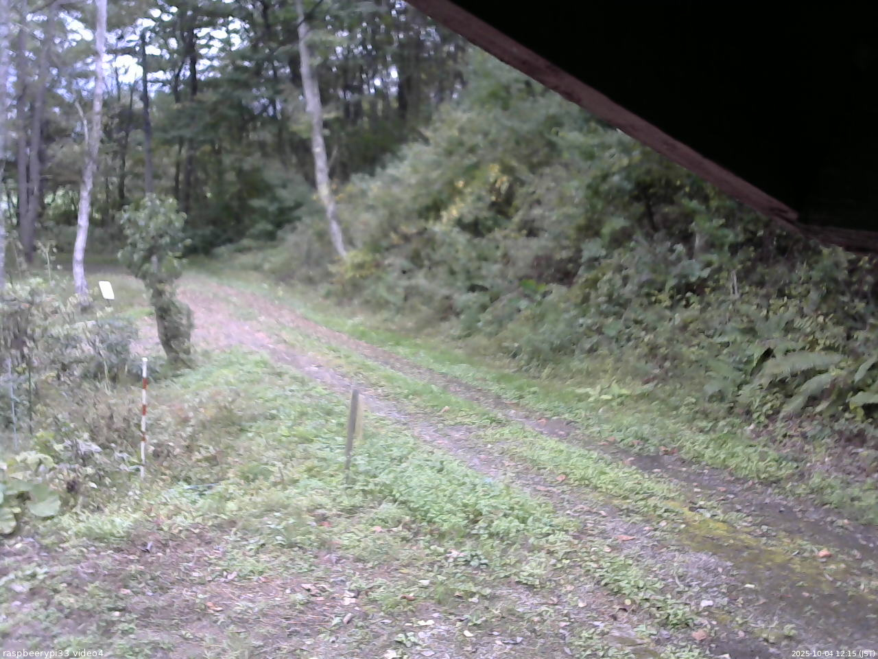 長野県菅平高原 ゆたか山荘 東側(坂下) 2025/10/04 12:15