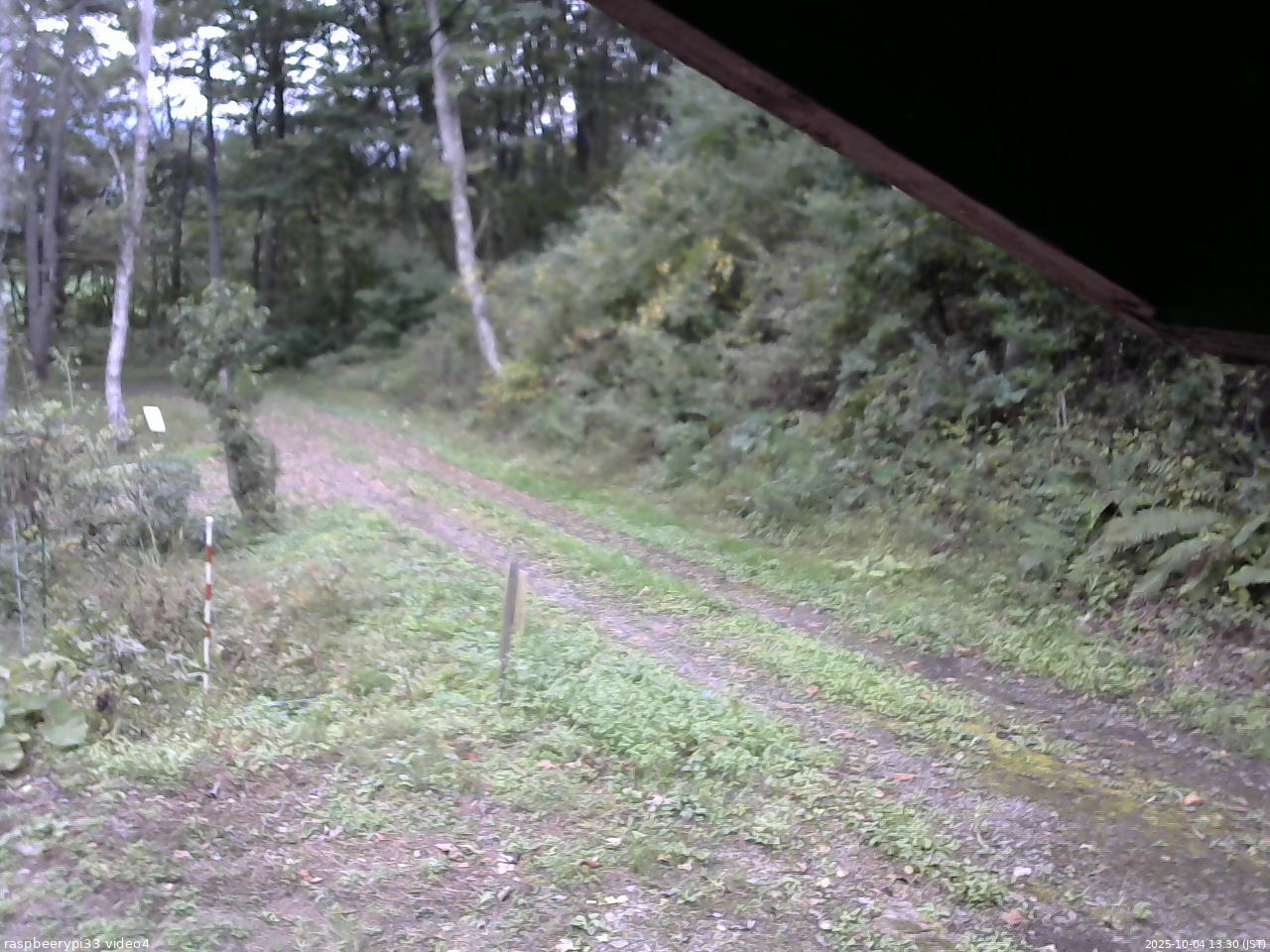 長野県菅平高原 ゆたか山荘 東側(坂下) 2025/10/04 13:30
