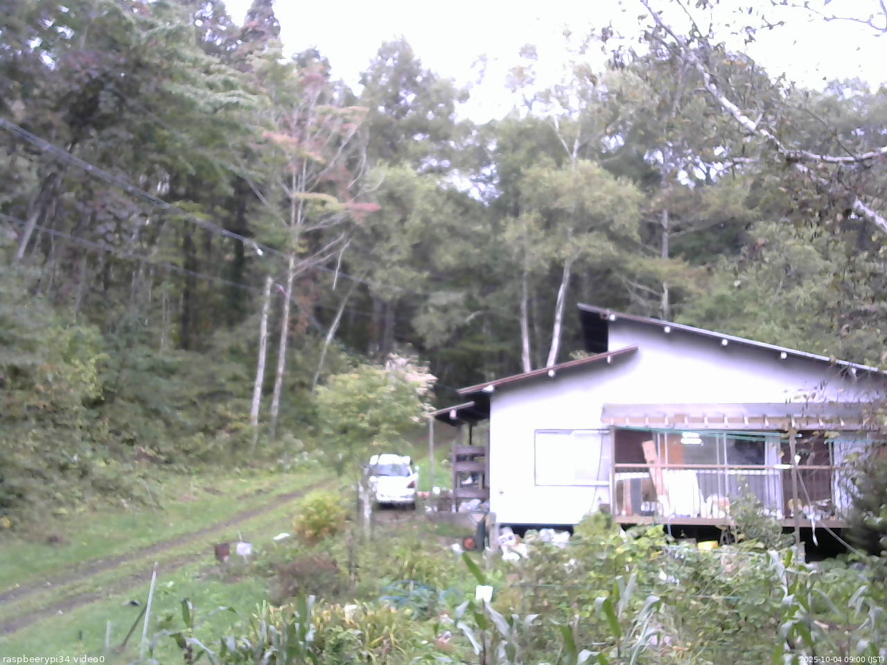 長野県菅平高原 ゆたか山荘 西側(坂上) 2025/10/04 09:00