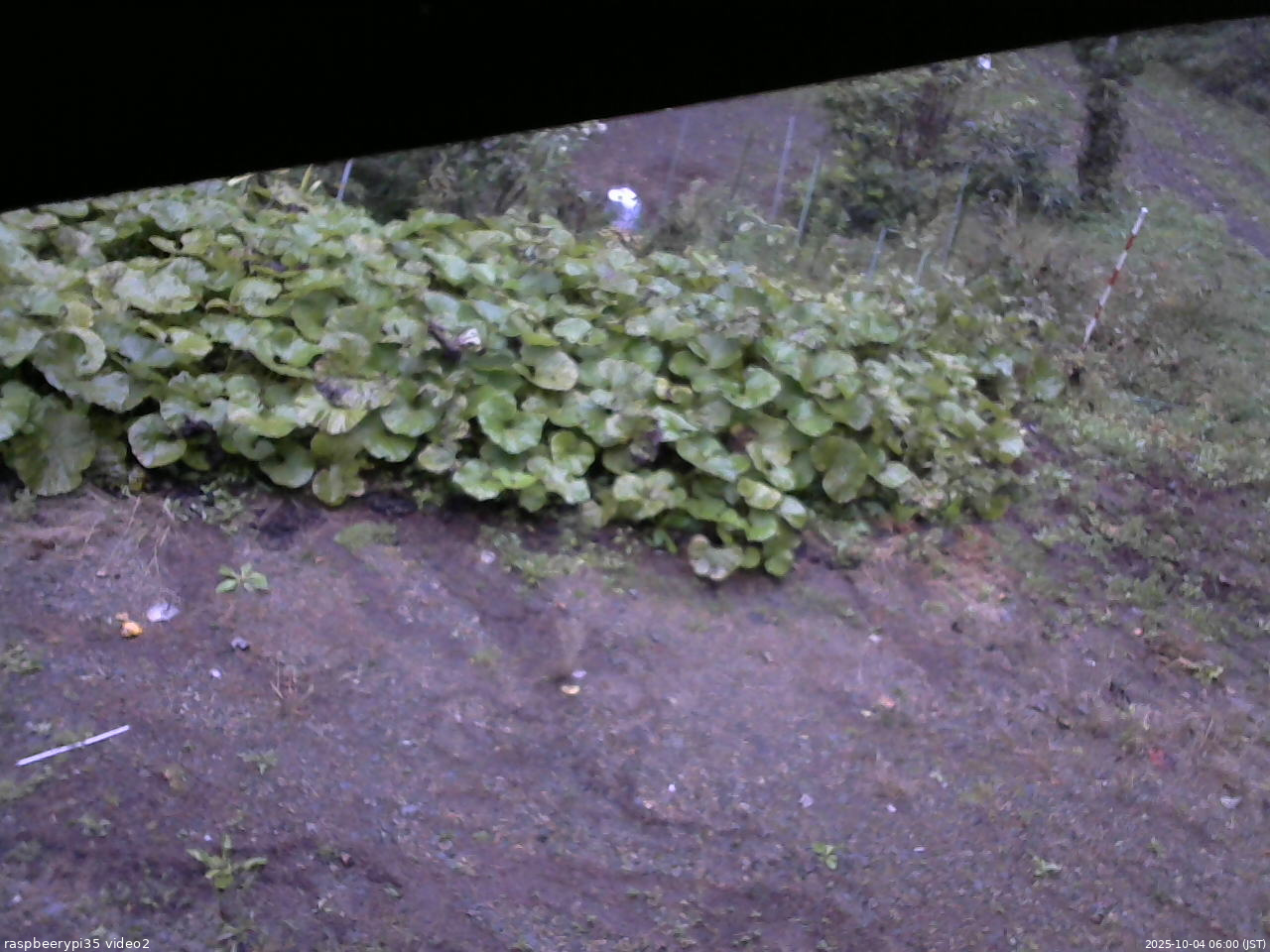 長野県菅平高原 ゆたか山荘 駐車場 2025/10/04 06:00