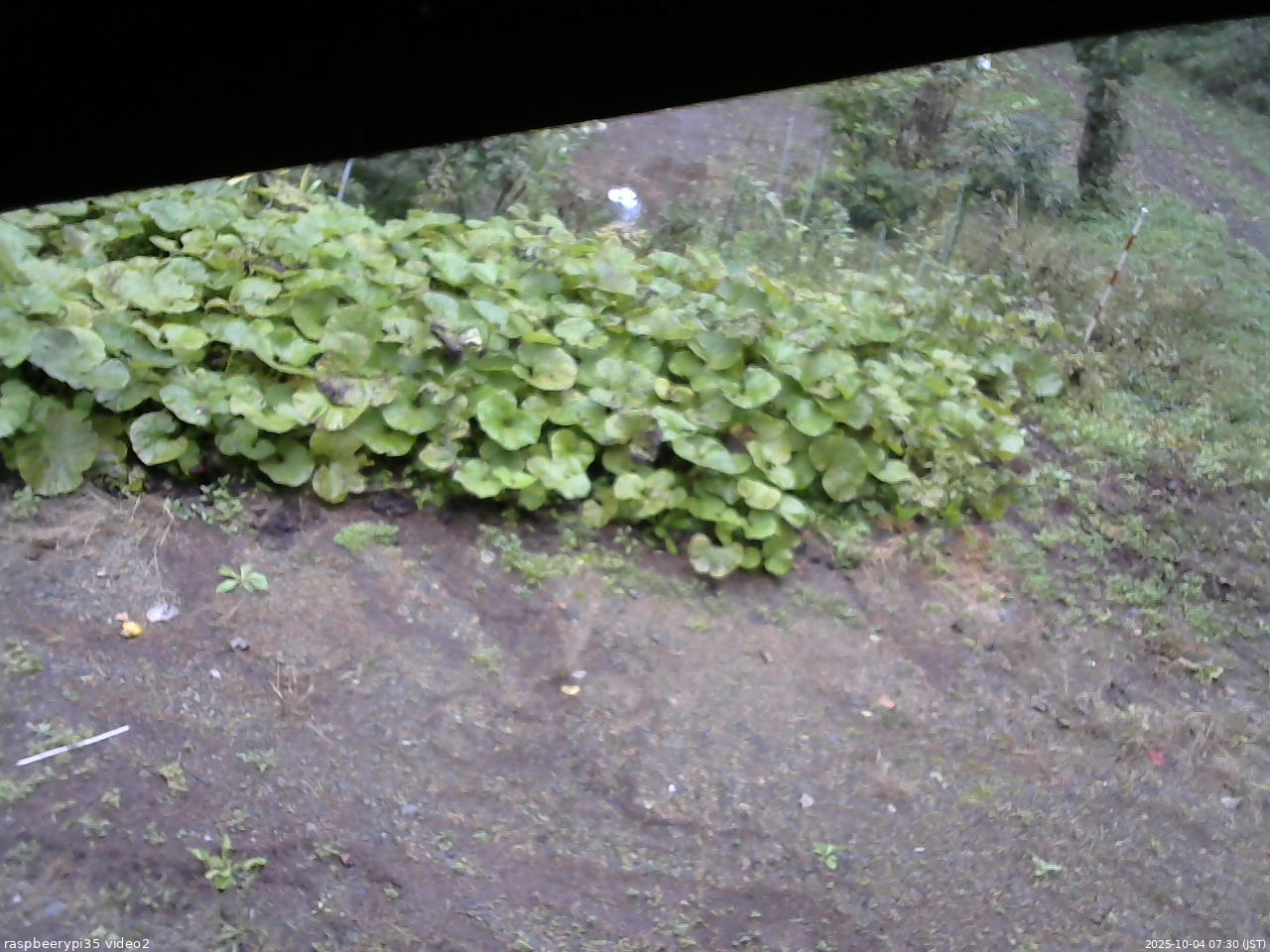 長野県菅平高原 ゆたか山荘 駐車場 2025/10/04 07:30
