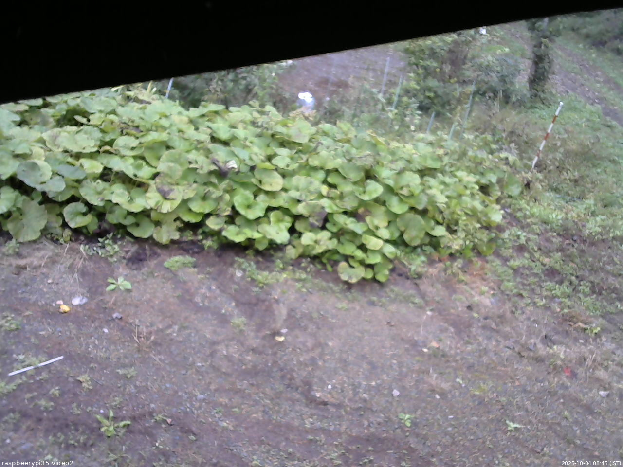 長野県菅平高原 ゆたか山荘 駐車場 2025/10/04 08:45