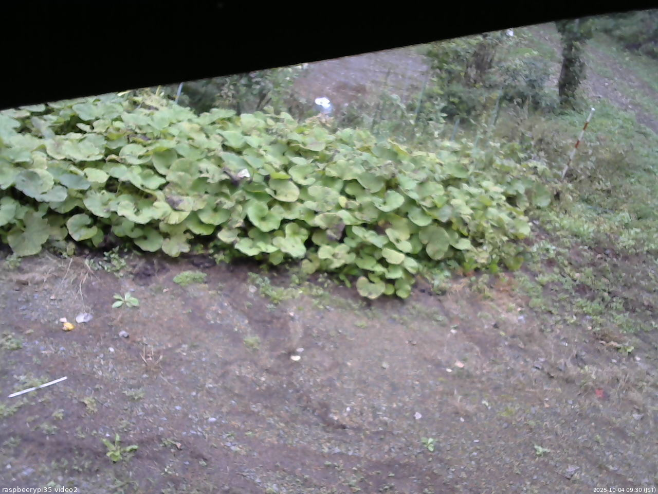 長野県菅平高原 ゆたか山荘 駐車場 2025/10/04 09:30