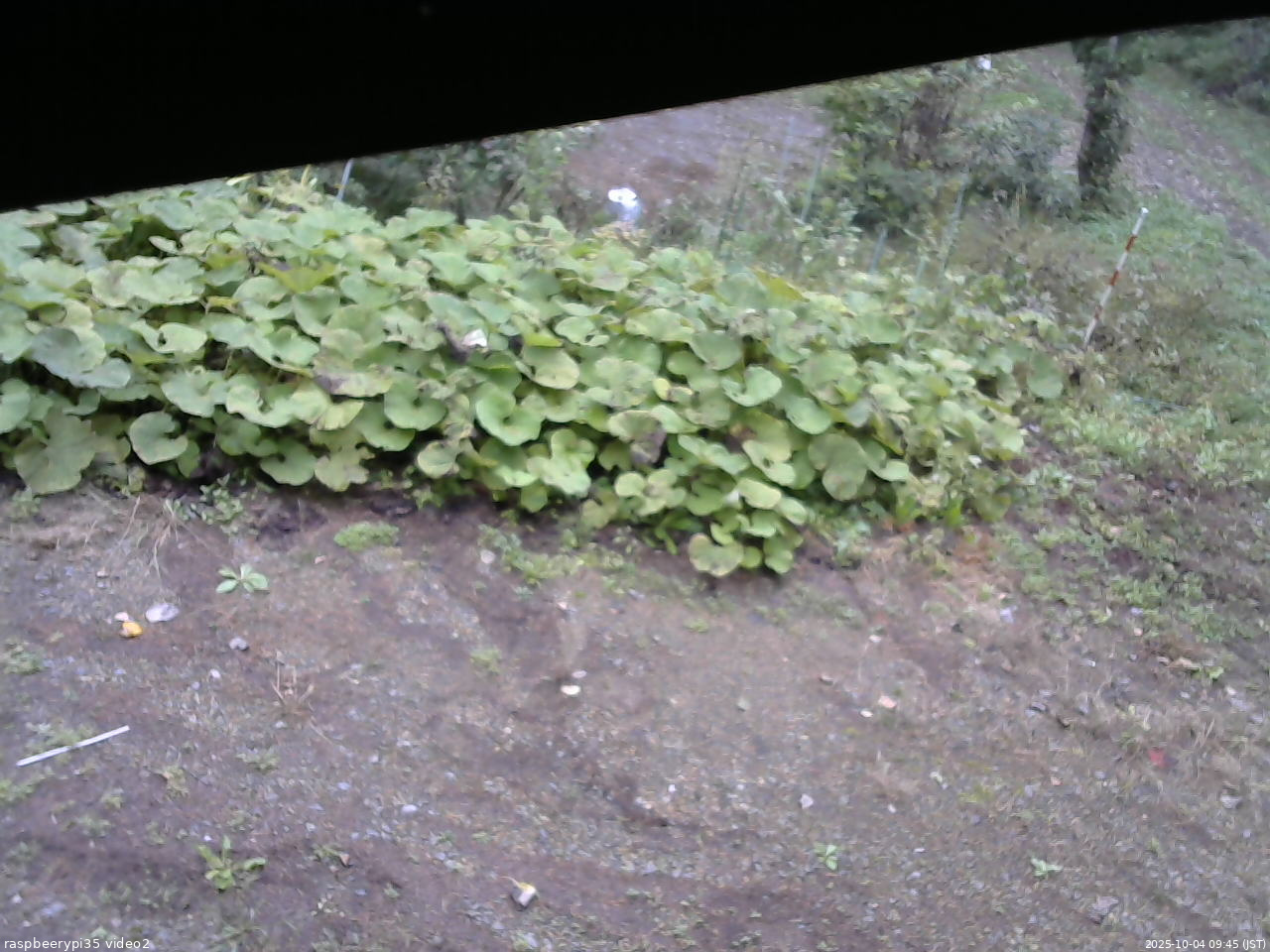 長野県菅平高原 ゆたか山荘 駐車場 2025/10/04 09:45