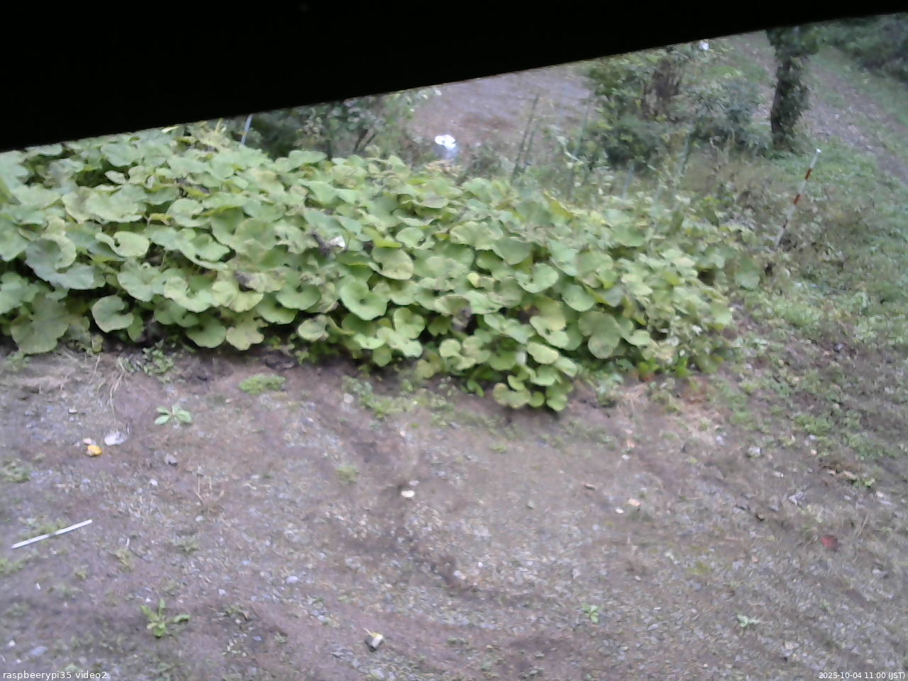 長野県菅平高原 ゆたか山荘 駐車場 2025/10/04 11:00