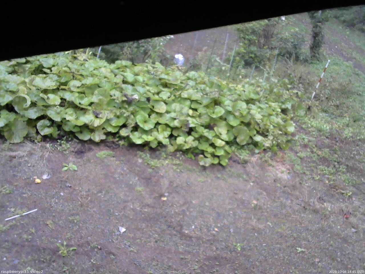 長野県菅平高原 ゆたか山荘 駐車場 2025/10/04 14:45