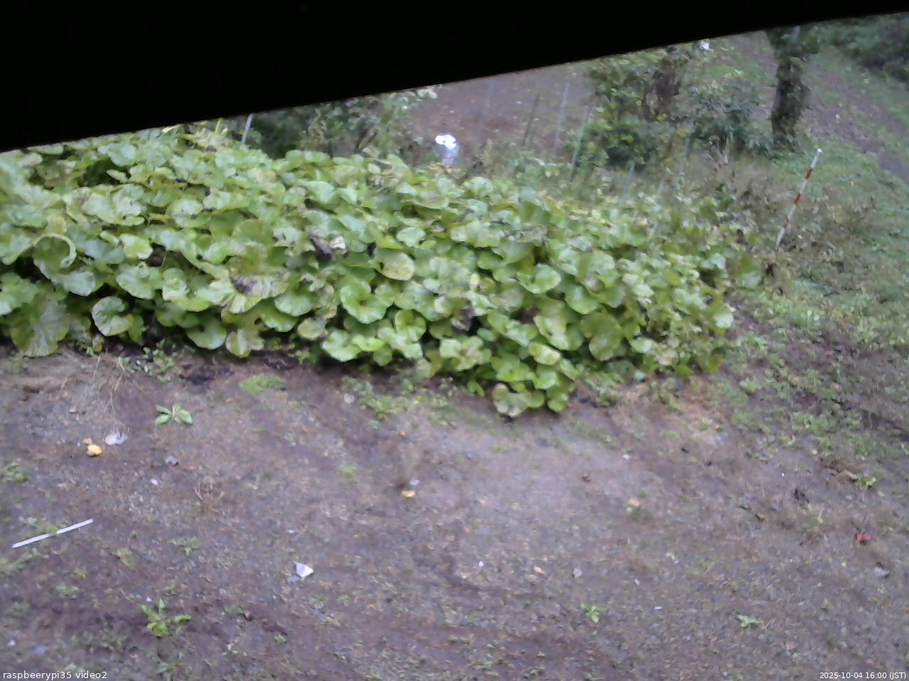 長野県菅平高原 ゆたか山荘 駐車場 2025/10/04 16:00