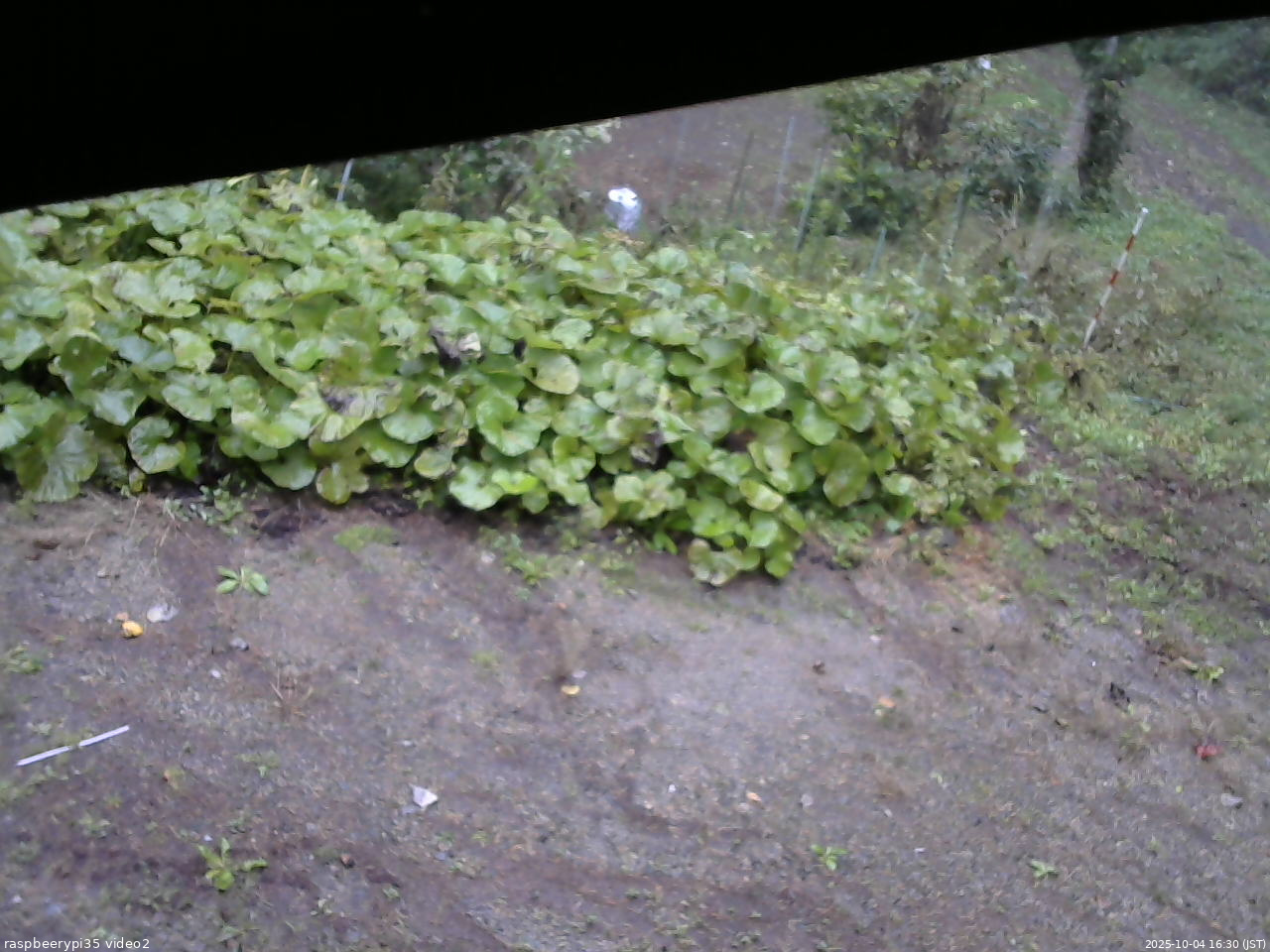長野県菅平高原 ゆたか山荘 駐車場 2025/10/04 16:30
