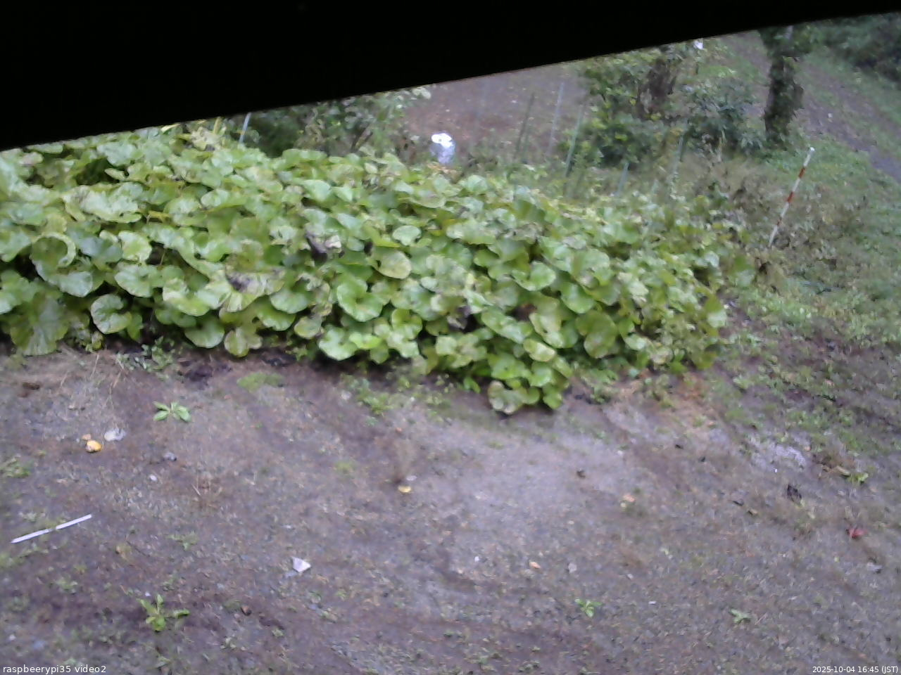 長野県菅平高原 ゆたか山荘 駐車場 2025/10/04 16:45