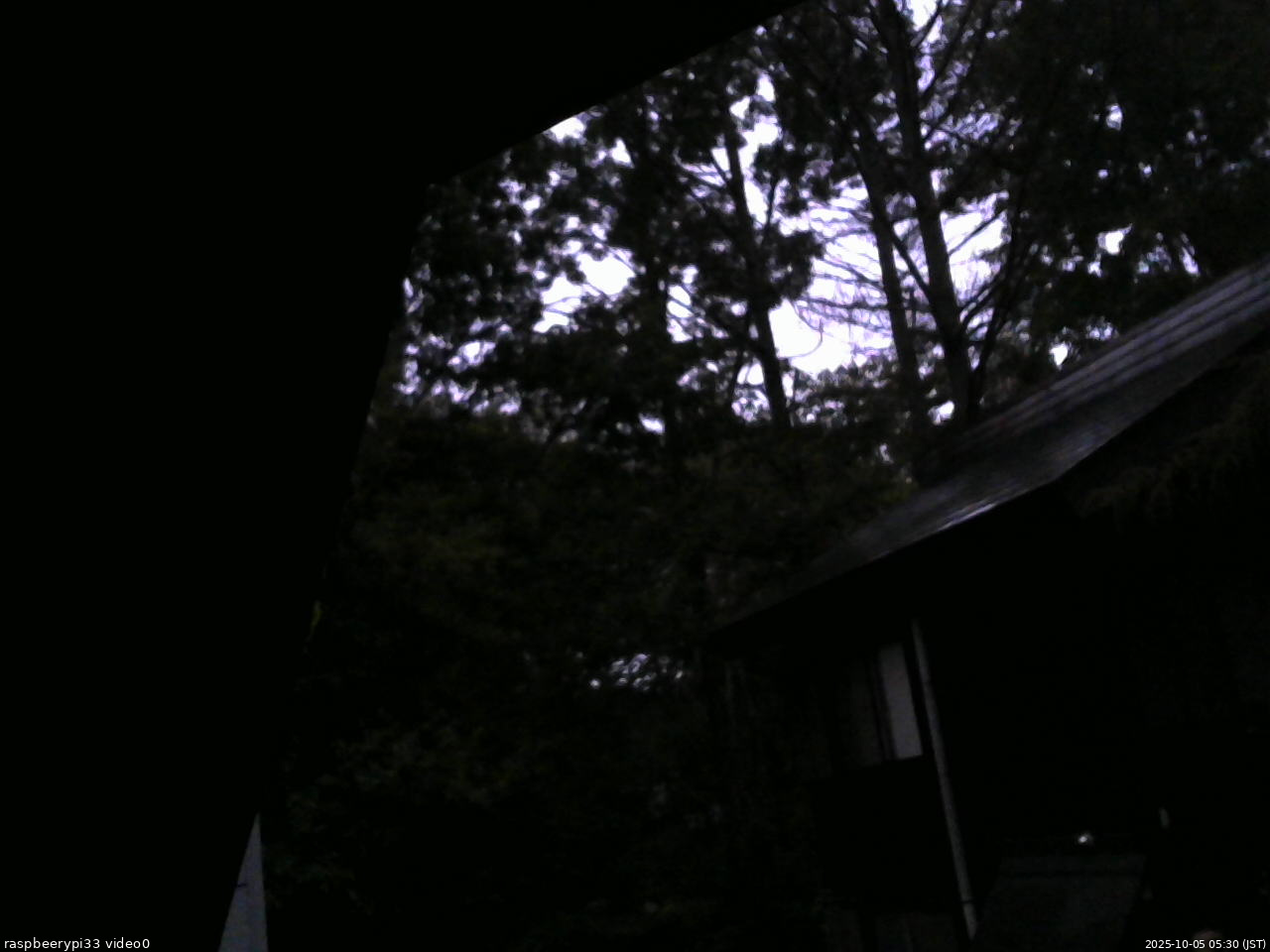 長野県菅平高原 ゆたか山荘 北側 2025/10/05 05:30