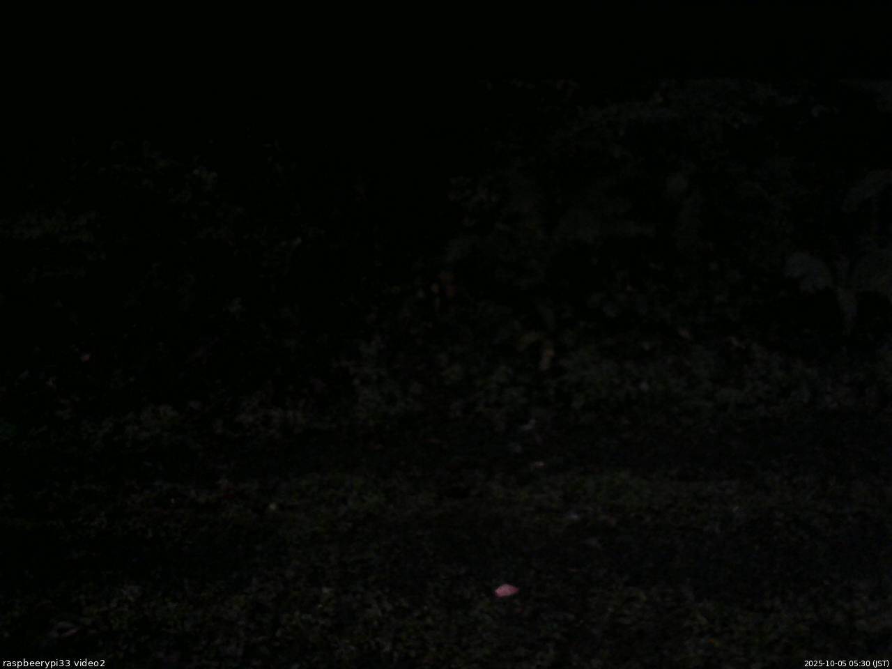 長野県菅平高原 ゆたか山荘 南側 2025/10/05 05:30