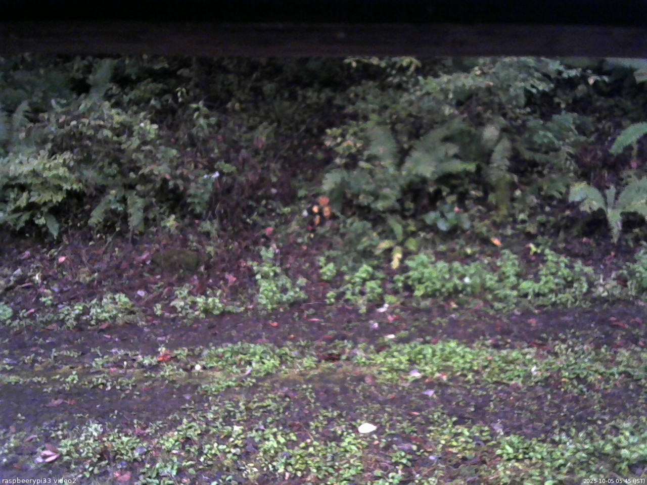 長野県菅平高原 ゆたか山荘 南側 2025/10/05 05:45