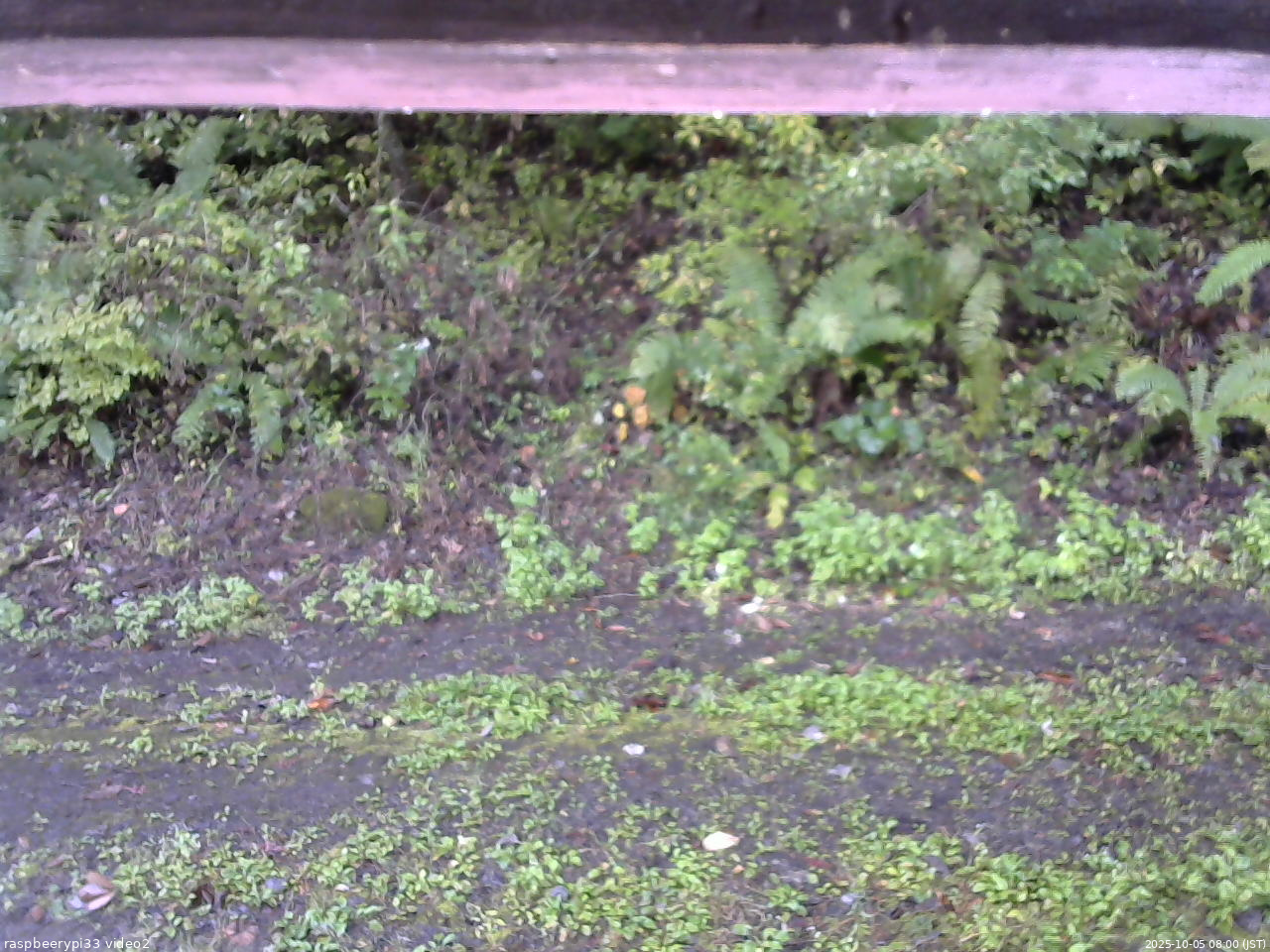 長野県菅平高原 ゆたか山荘 南側 2025/10/05 08:00