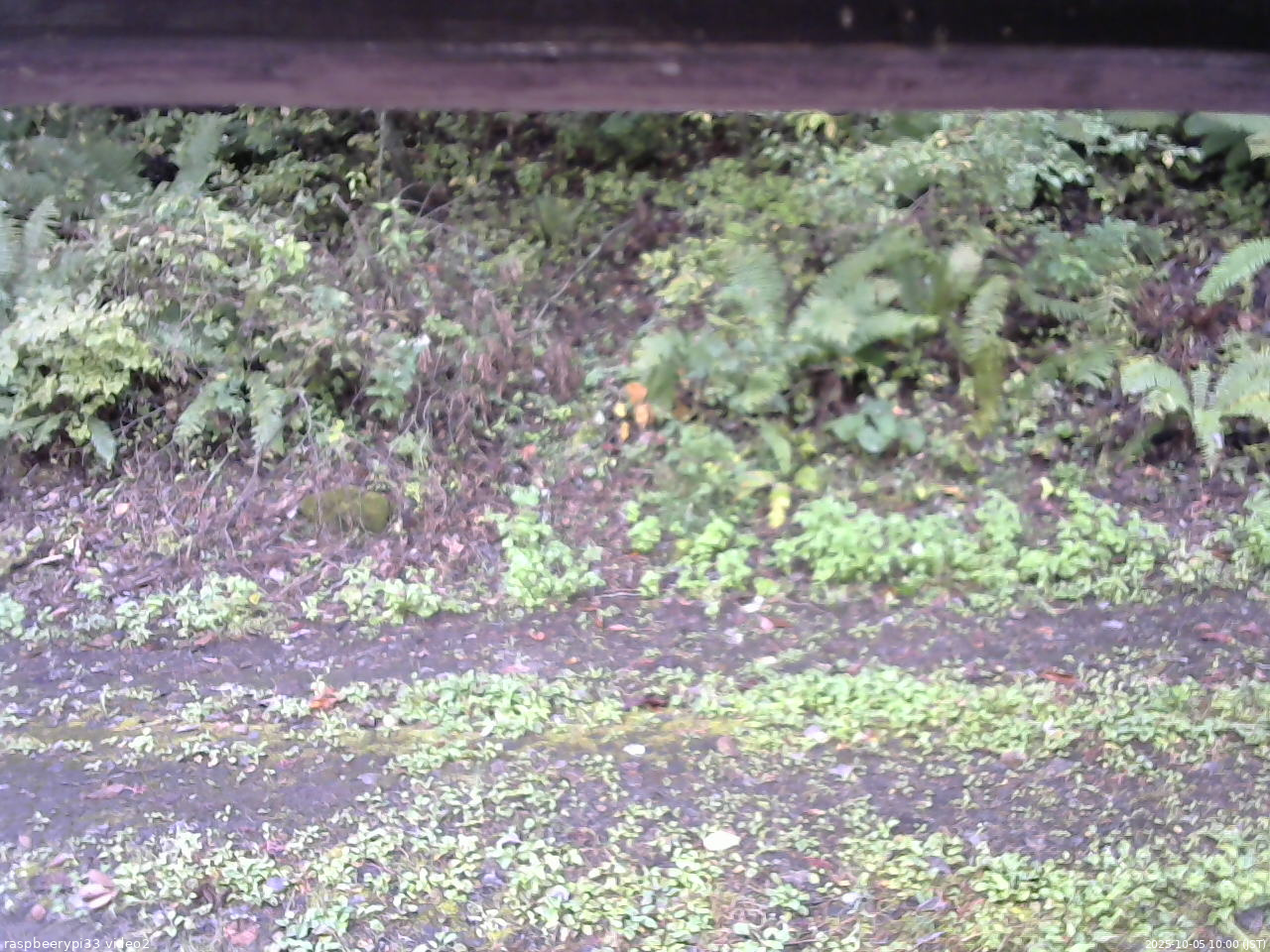 長野県菅平高原 ゆたか山荘 南側 2025/10/05 10:00