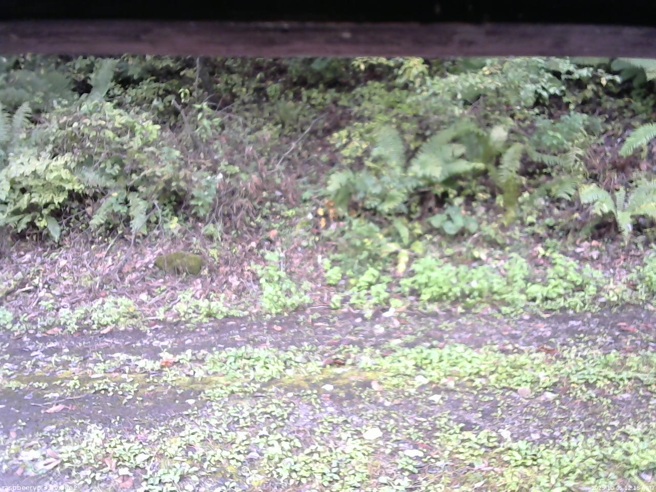 長野県菅平高原 ゆたか山荘 南側 2025/10/05 12:15