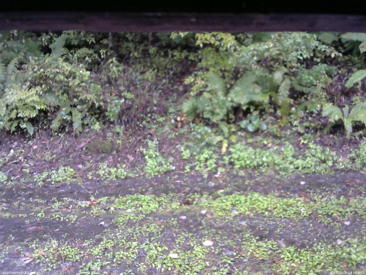 長野県菅平高原 ゆたか山荘 南側 2025/10/05 14:00