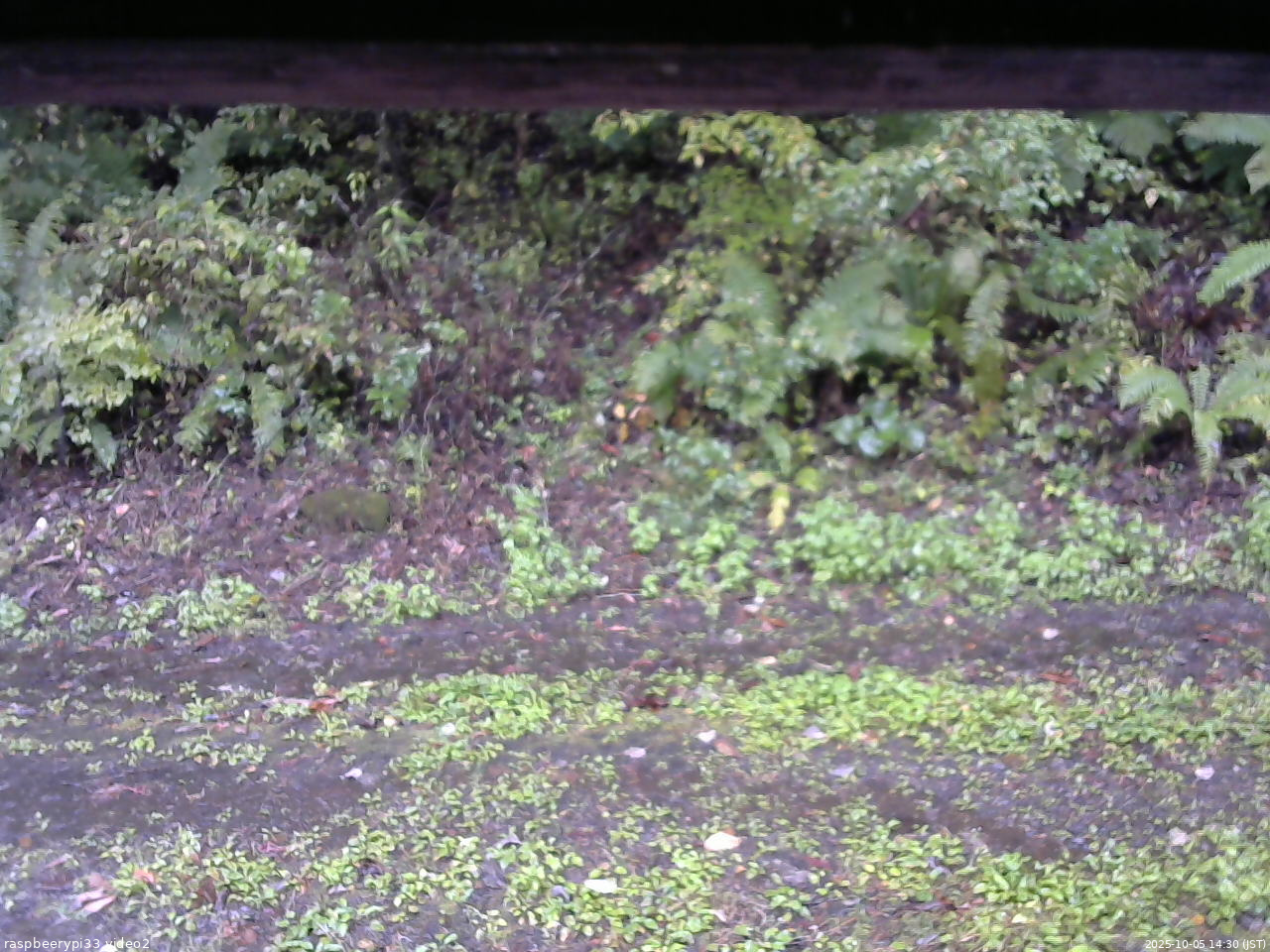 長野県菅平高原 ゆたか山荘 南側 2025/10/05 14:30