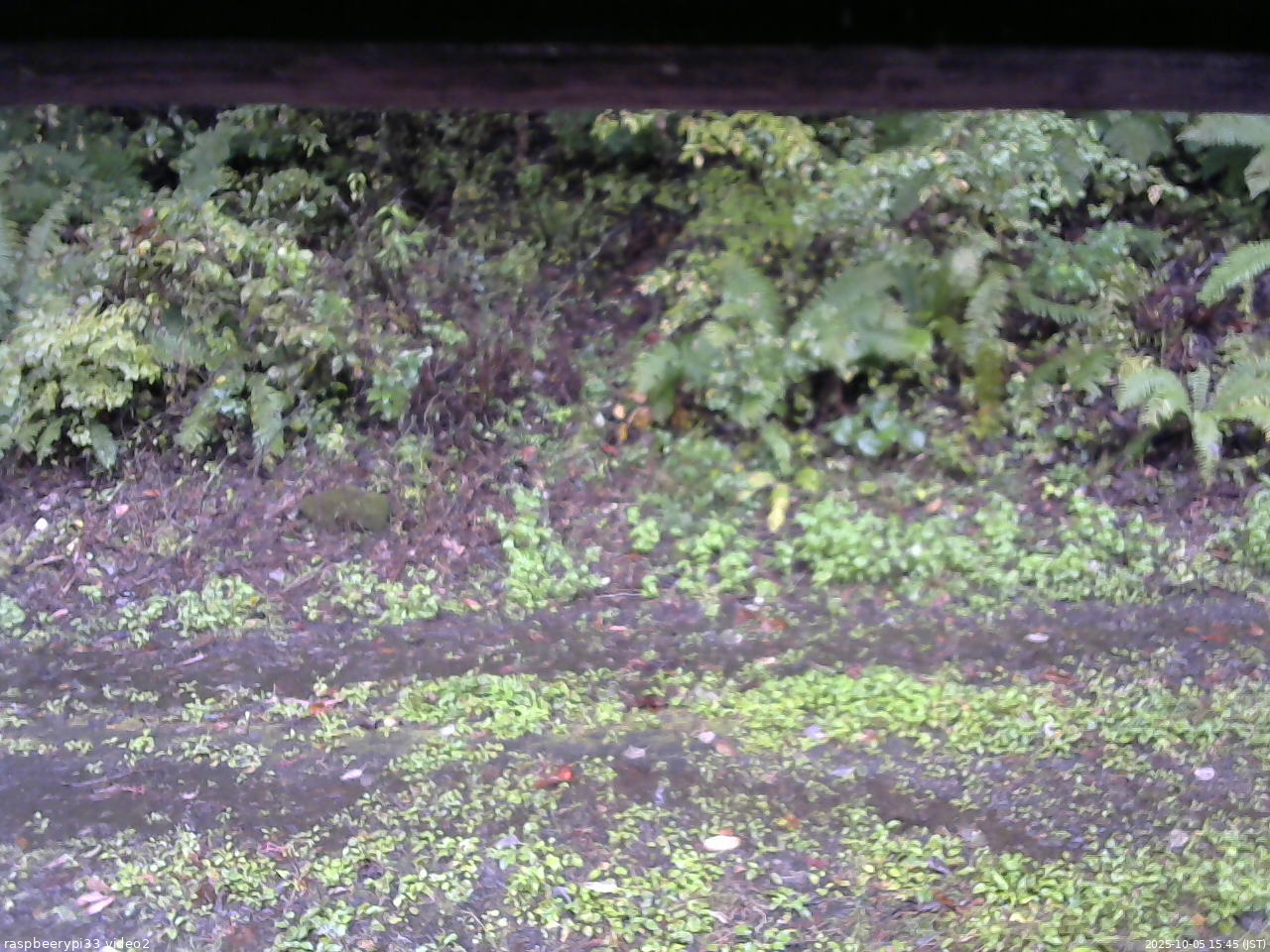 長野県菅平高原 ゆたか山荘 南側 2025/10/05 15:45