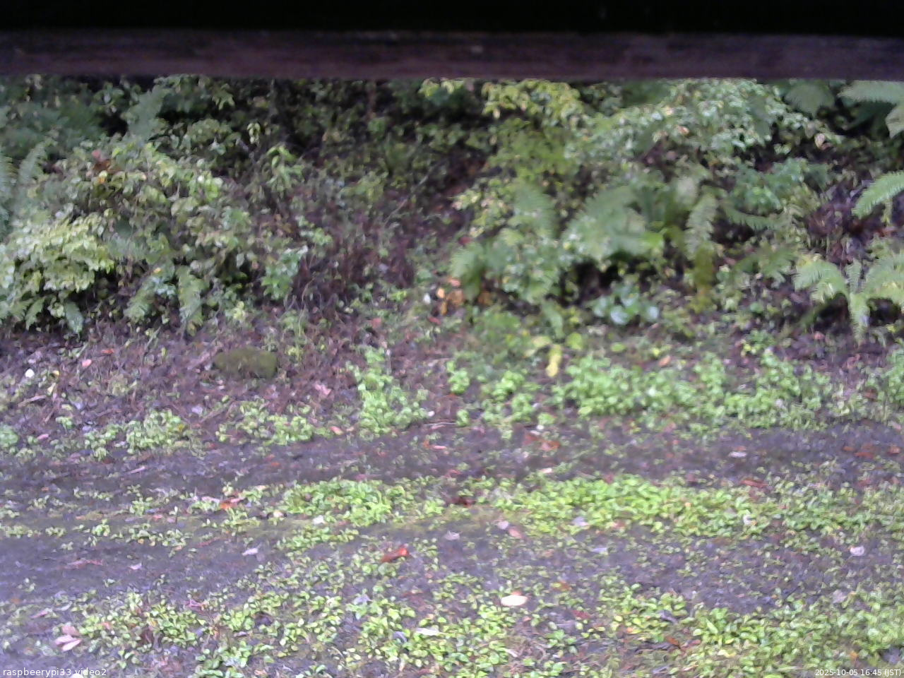 長野県菅平高原 ゆたか山荘 南側 2025/10/05 16:45