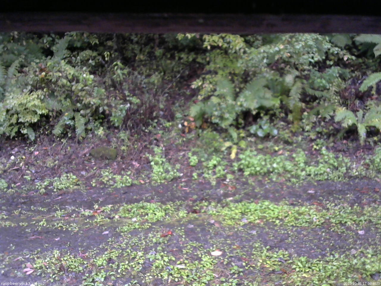 長野県菅平高原 ゆたか山荘 南側 2025/10/05 17:00