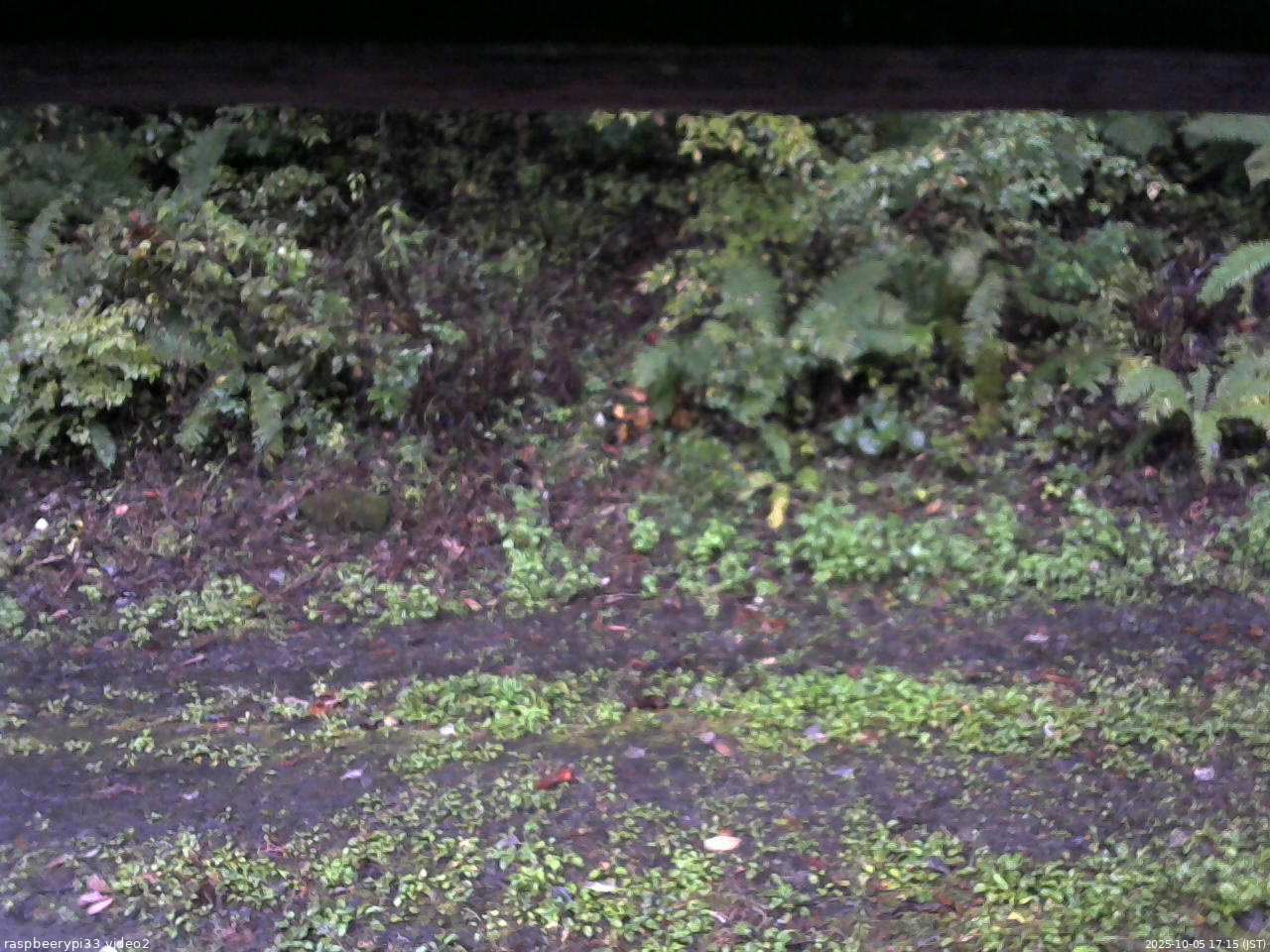 長野県菅平高原 ゆたか山荘 南側 2025/10/05 17:15