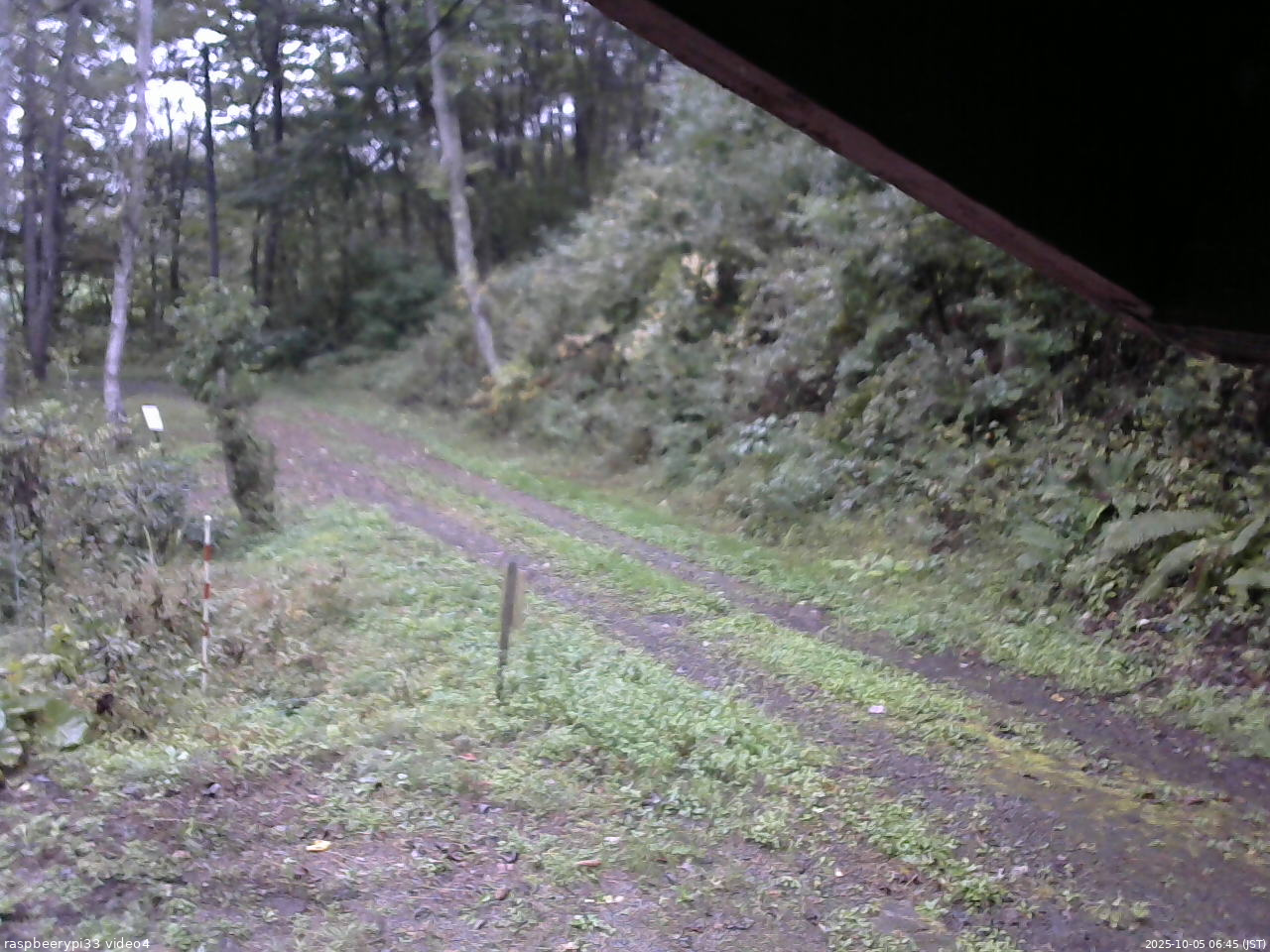 長野県菅平高原 ゆたか山荘 東側(坂下) 2025/10/05 06:45