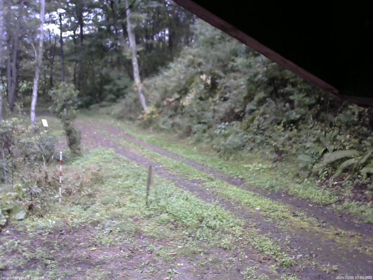 長野県菅平高原 ゆたか山荘 東側(坂下) 2025/10/05 07:00