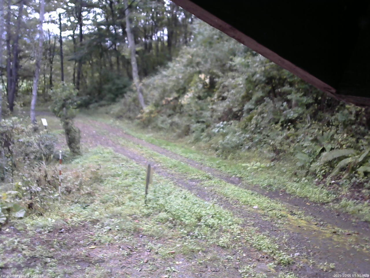 長野県菅平高原 ゆたか山荘 東側(坂下) 2025/10/05 07:30
