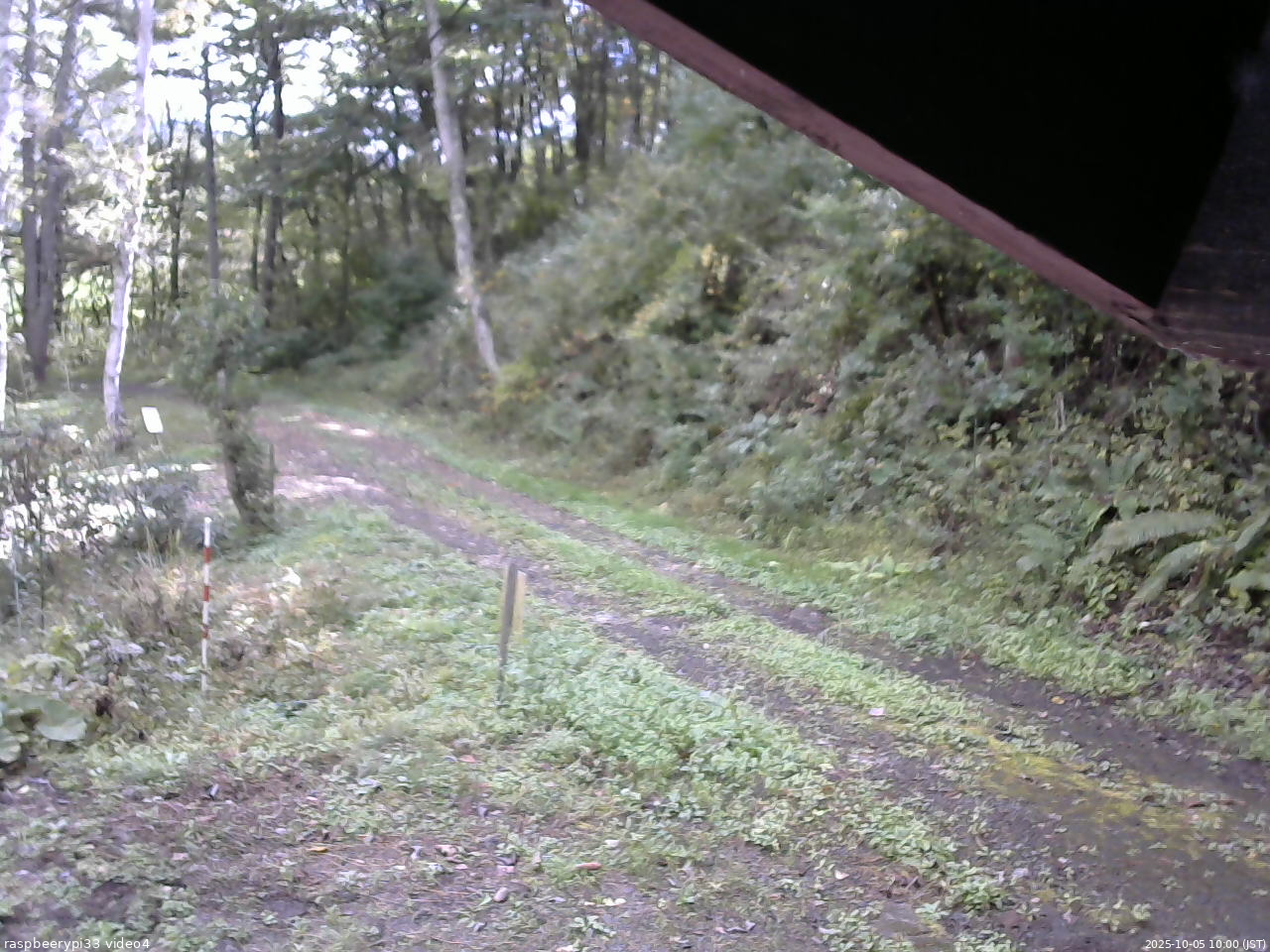 長野県菅平高原 ゆたか山荘 東側(坂下) 2025/10/05 10:00