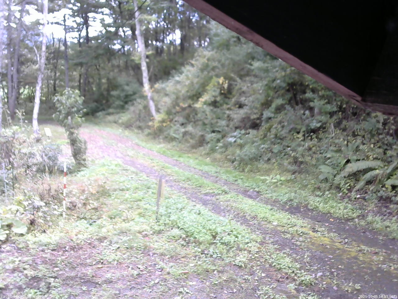 長野県菅平高原 ゆたか山荘 東側(坂下) 2025/10/05 10:15
