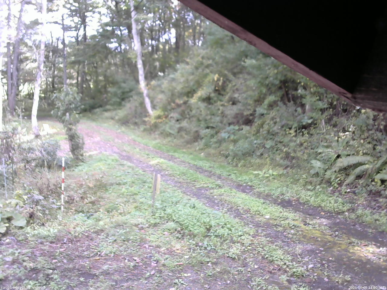 長野県菅平高原 ゆたか山荘 東側(坂下) 2025/10/05 11:00