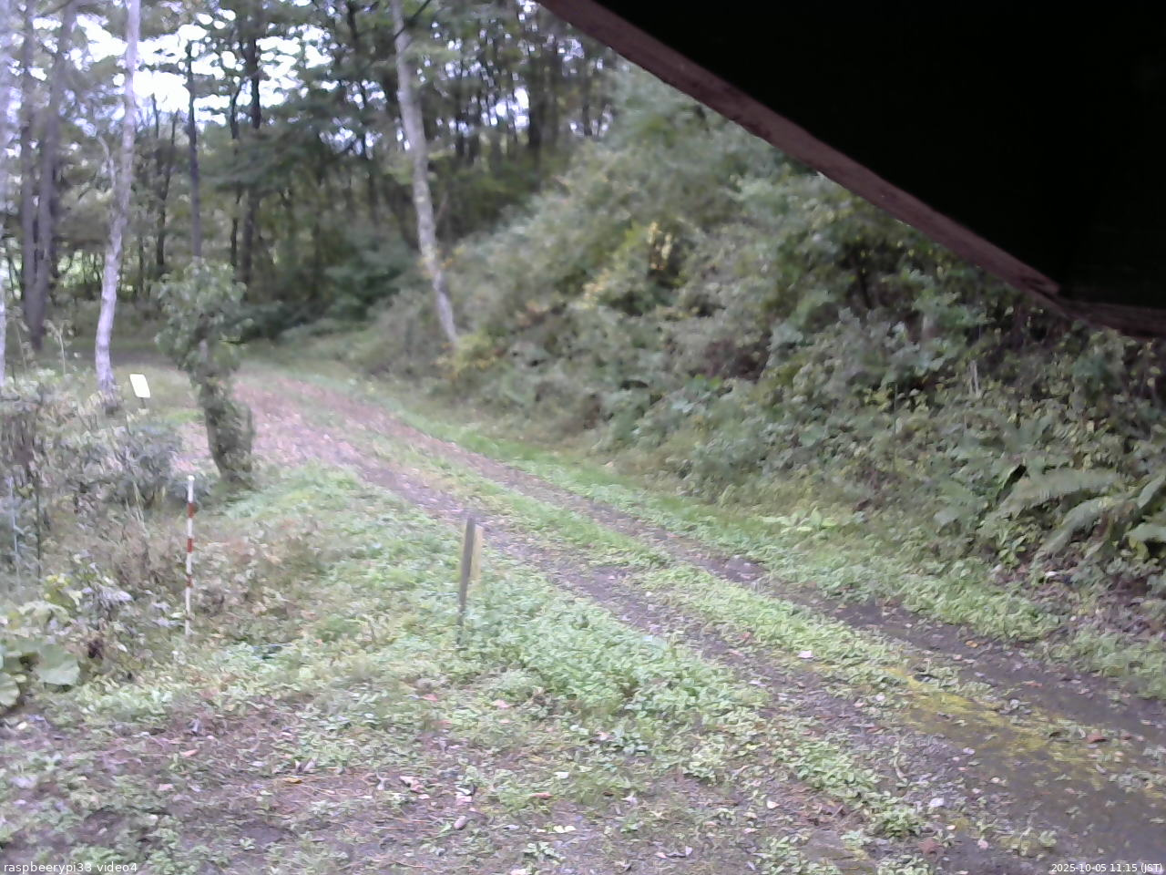 長野県菅平高原 ゆたか山荘 東側(坂下) 2025/10/05 11:15