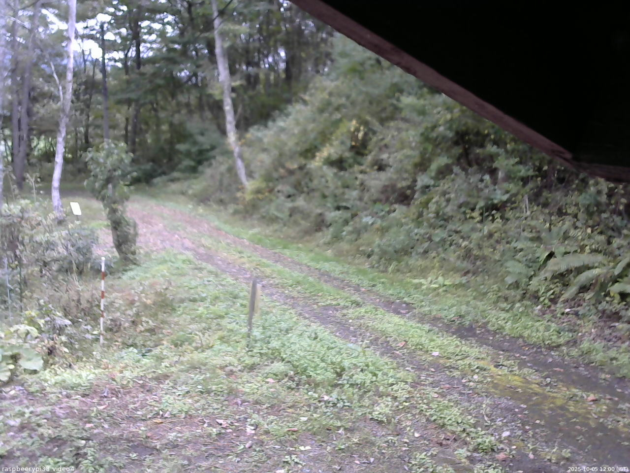 長野県菅平高原 ゆたか山荘 東側(坂下) 2025/10/05 12:00