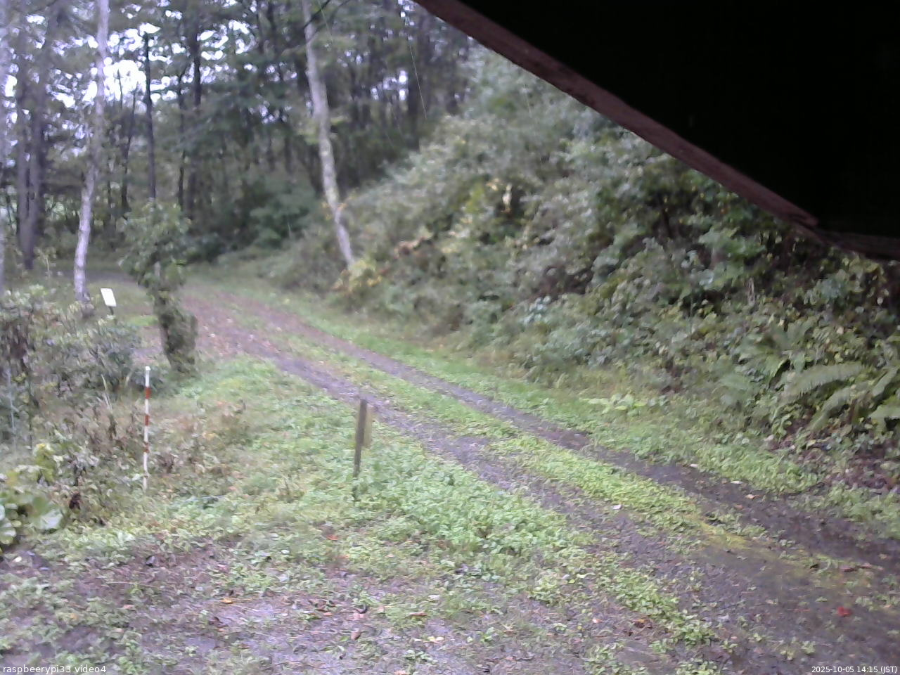 長野県菅平高原 ゆたか山荘 東側(坂下) 2025/10/05 14:15