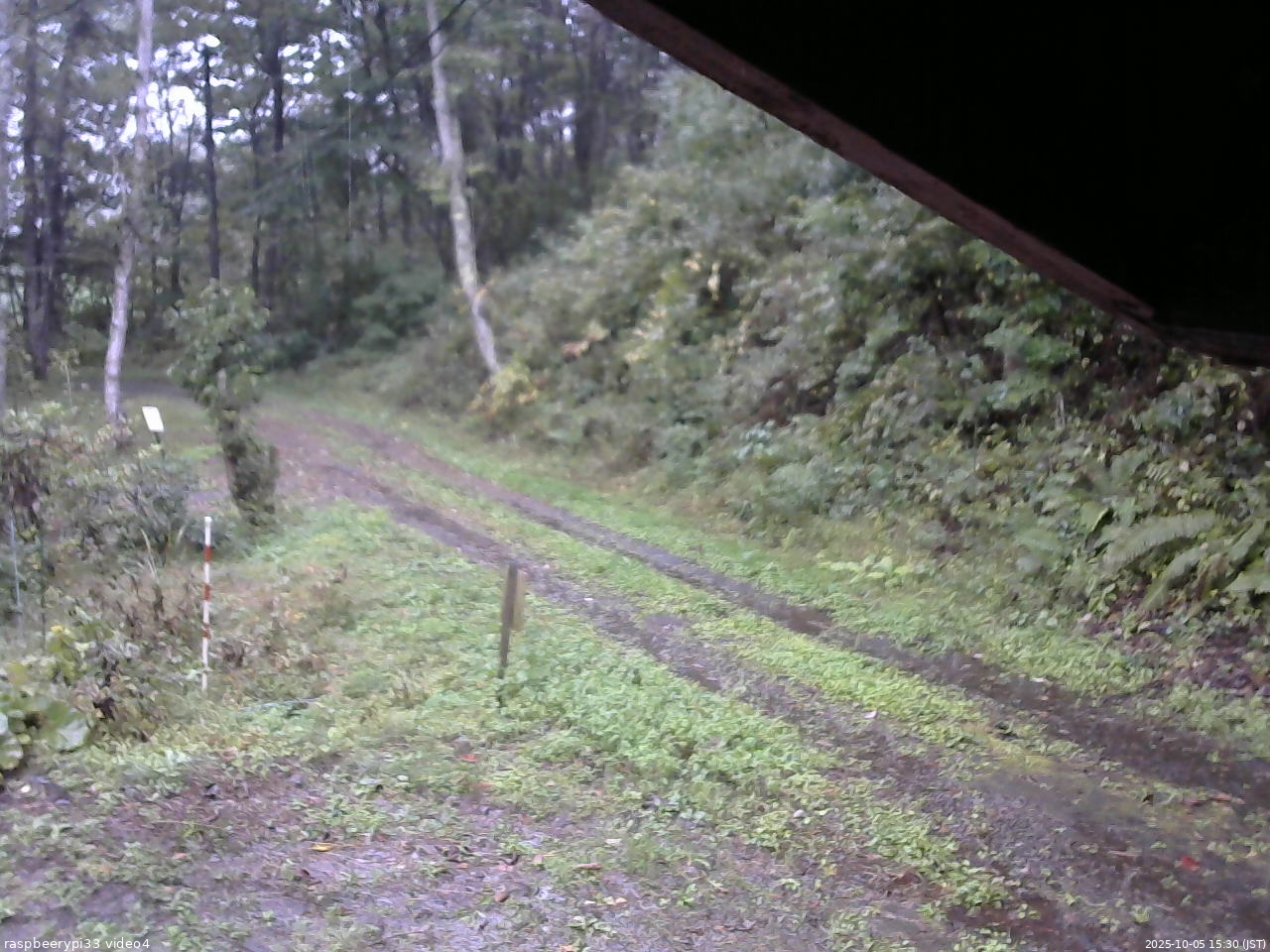長野県菅平高原 ゆたか山荘 東側(坂下) 2025/10/05 15:30