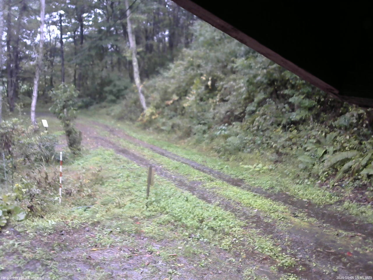 長野県菅平高原 ゆたか山荘 東側(坂下) 2025/10/05 15:45