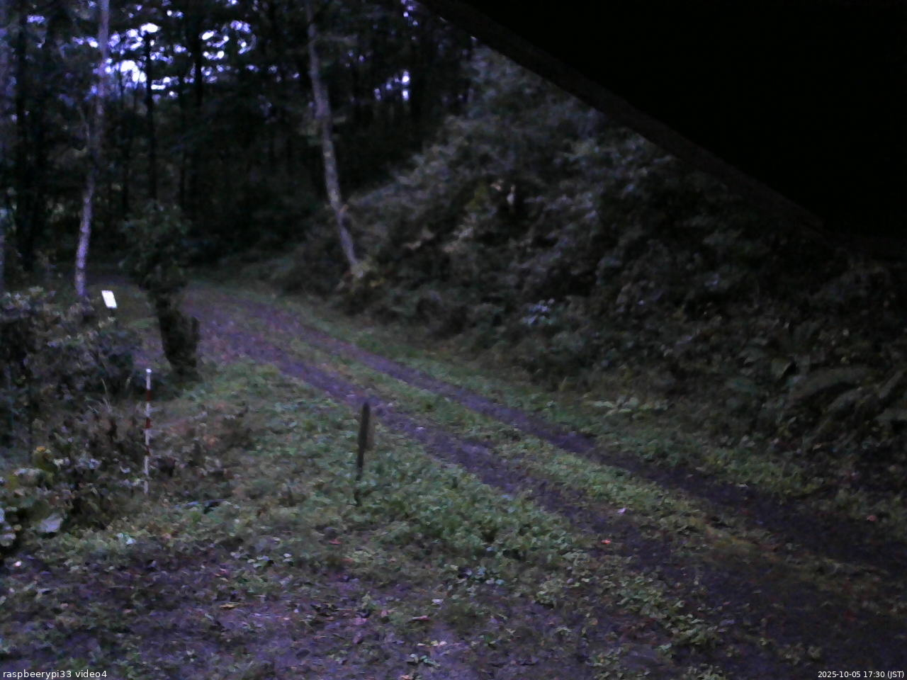 長野県菅平高原 ゆたか山荘 東側(坂下) 2025/10/05 17:30