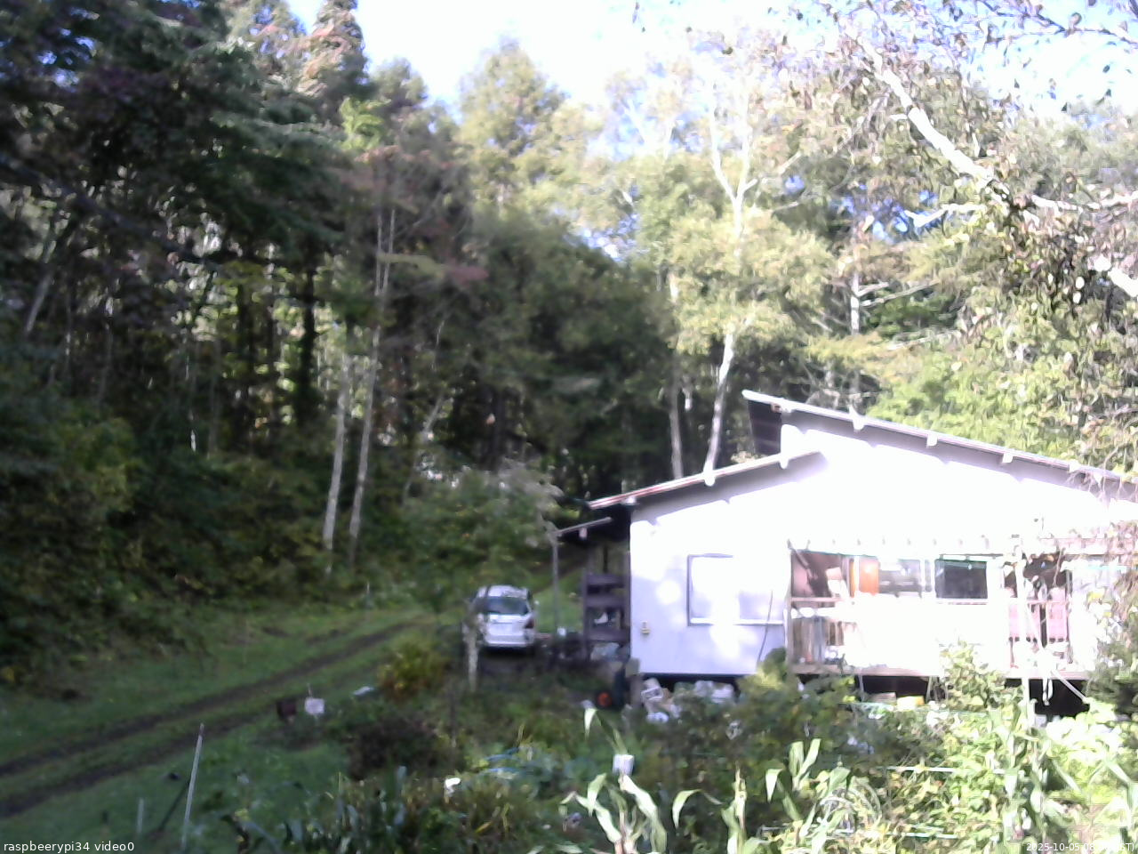 長野県菅平高原 ゆたか山荘 西側(坂上) 2025/10/05 08:00