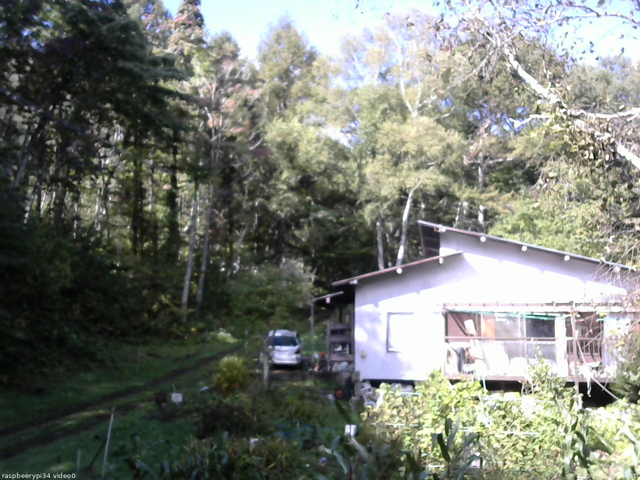 長野県菅平高原 ゆたか山荘 西側(坂上) 2025/10/05 09:15