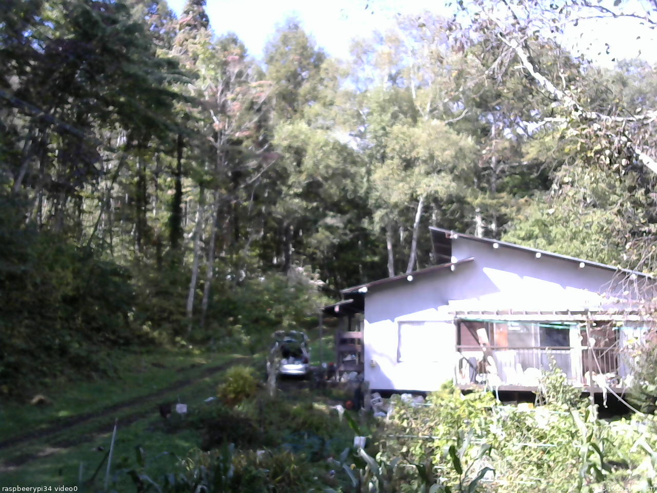 長野県菅平高原 ゆたか山荘 西側(坂上) 2025/10/05 09:45