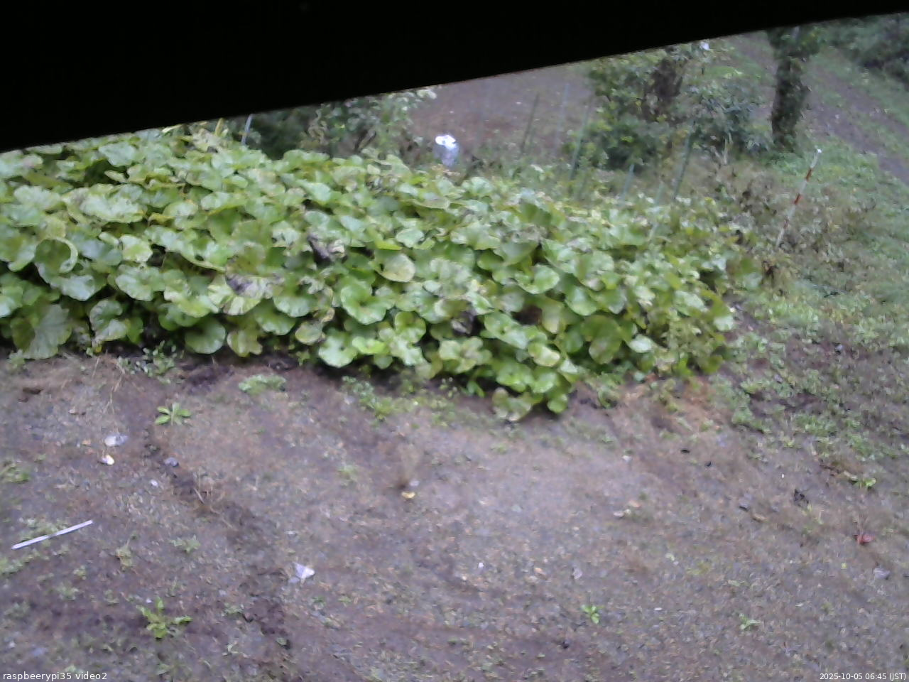 長野県菅平高原 ゆたか山荘 駐車場 2025/10/05 06:45
