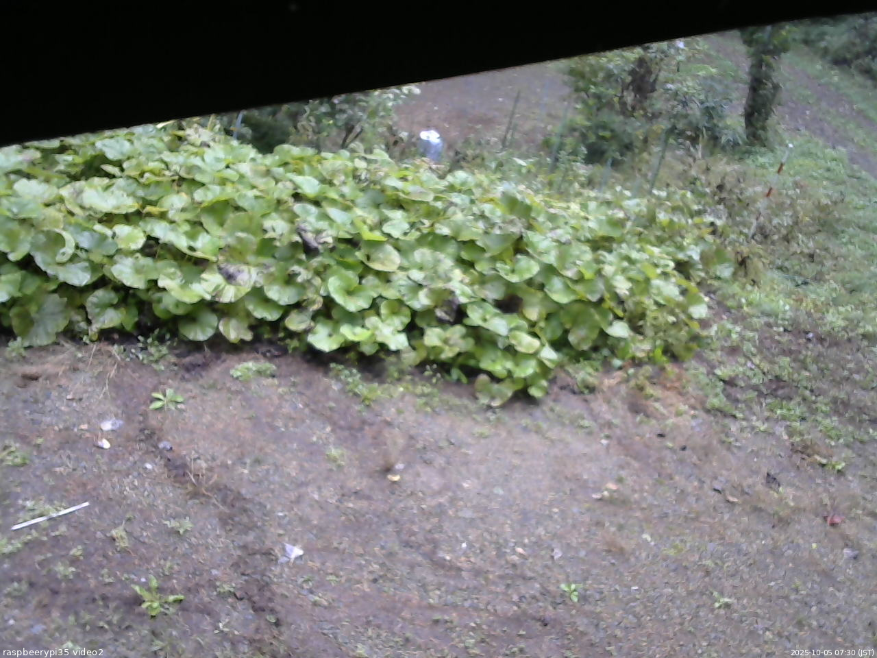 長野県菅平高原 ゆたか山荘 駐車場 2025/10/05 07:30