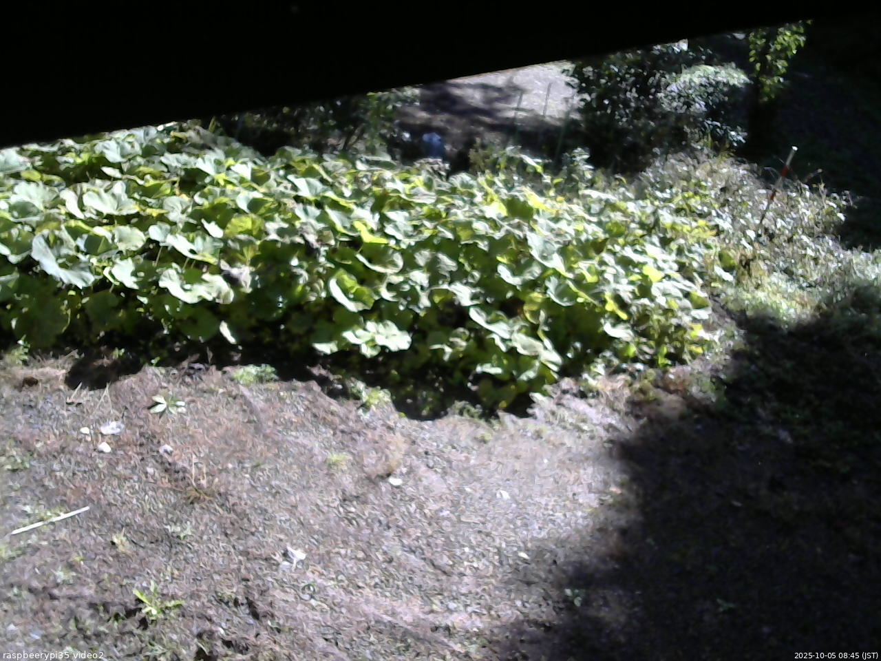 長野県菅平高原 ゆたか山荘 駐車場 2025/10/05 08:45