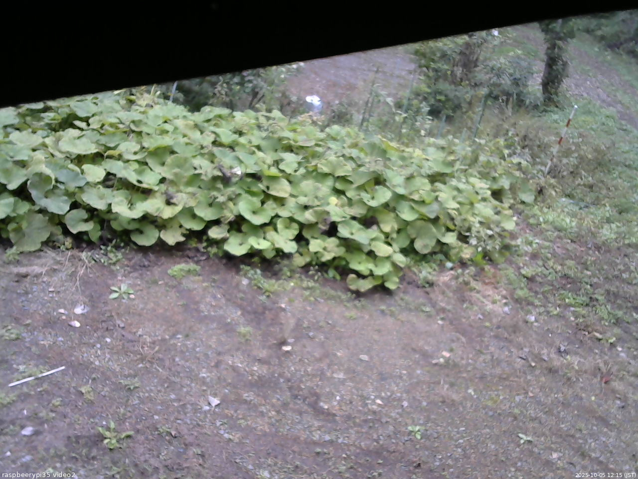長野県菅平高原 ゆたか山荘 駐車場 2025/10/05 12:15