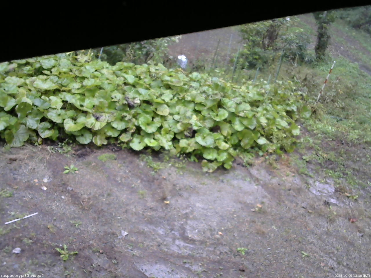 長野県菅平高原 ゆたか山荘 駐車場 2025/10/05 13:30