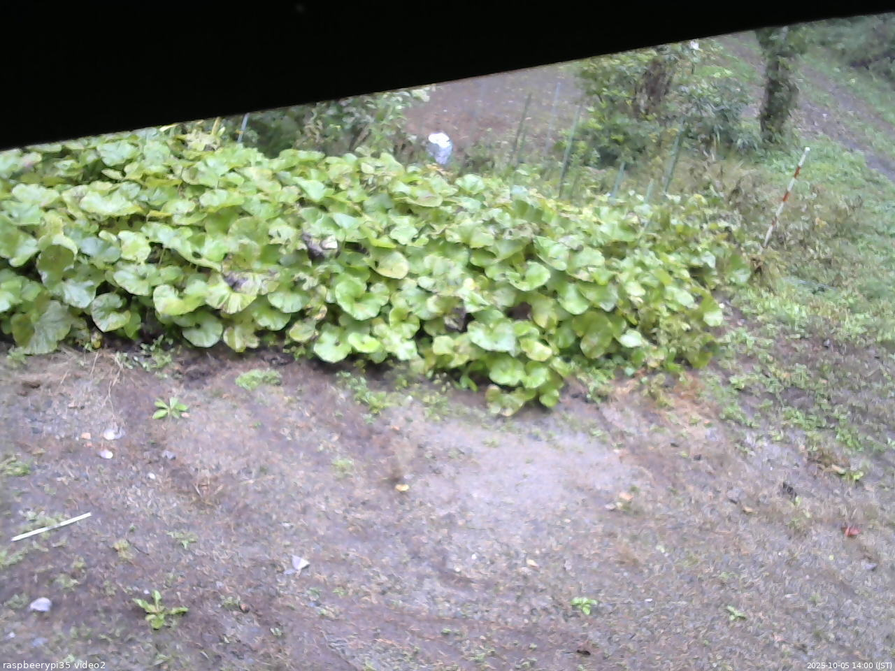長野県菅平高原 ゆたか山荘 駐車場 2025/10/05 14:00