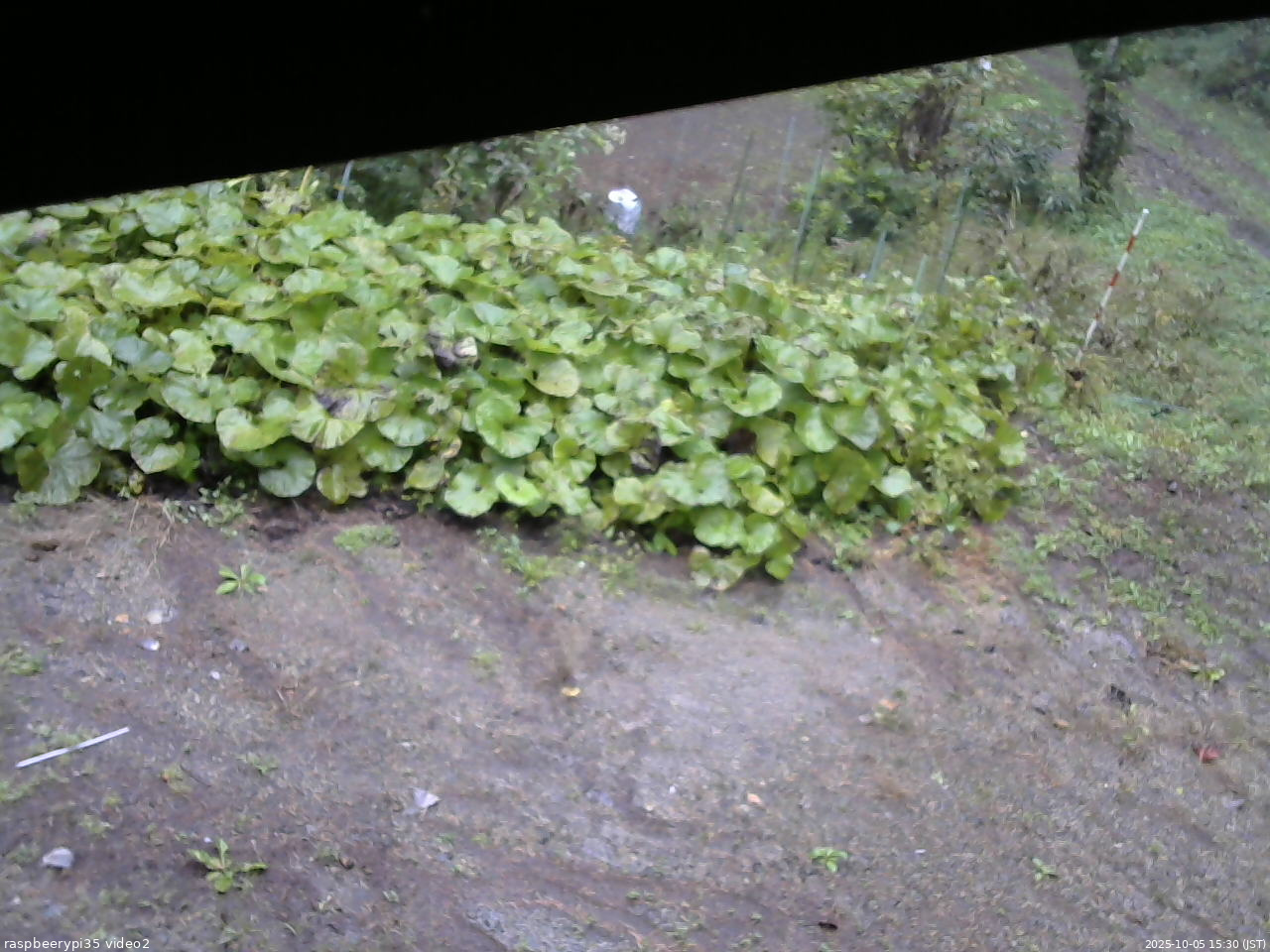 長野県菅平高原 ゆたか山荘 駐車場 2025/10/05 15:30