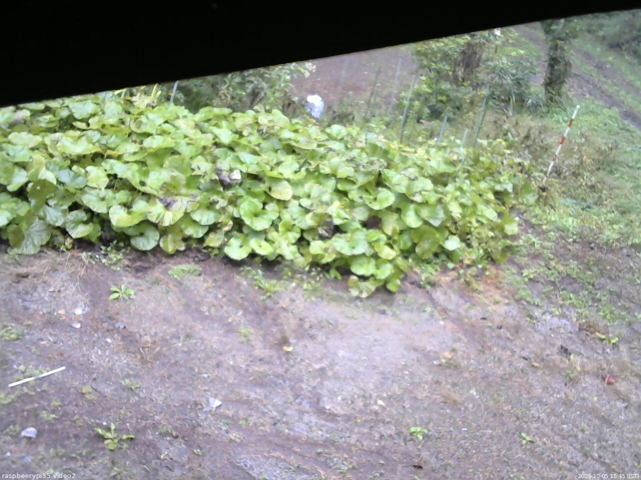 長野県菅平高原 ゆたか山荘 駐車場 2025/10/05 15:45